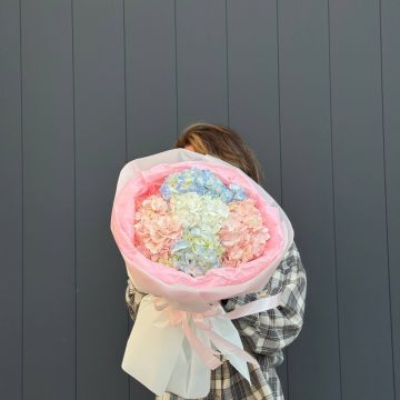 Букет из 5 Гортензий (Нежный микс)